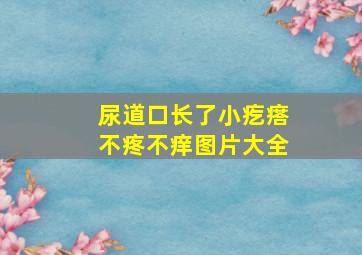 尿道口长了小疙瘩不疼不痒图片大全