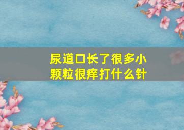 尿道口长了很多小颗粒很痒打什么针