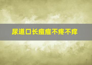 尿道口长痘痘不疼不痒