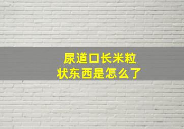 尿道口长米粒状东西是怎么了