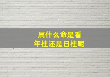 属什么命是看年柱还是日柱呢