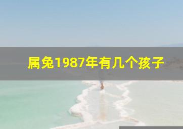 属兔1987年有几个孩子