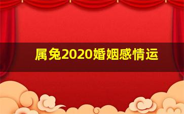 属兔2020婚姻感情运