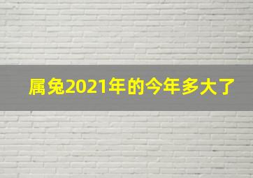 属兔2021年的今年多大了