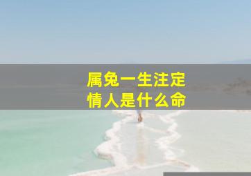 属兔一生注定情人是什么命