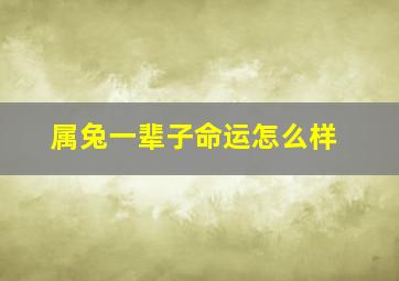 属兔一辈子命运怎么样