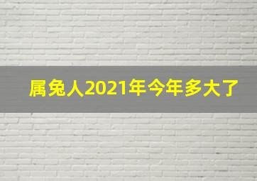 属兔人2021年今年多大了