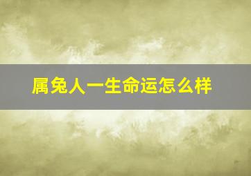 属兔人一生命运怎么样