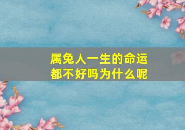 属兔人一生的命运都不好吗为什么呢