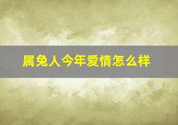 属兔人今年爱情怎么样