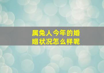 属兔人今年的婚姻状况怎么样呢