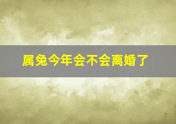 属兔今年会不会离婚了