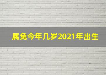 属兔今年几岁2021年出生