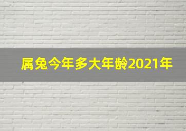 属兔今年多大年龄2021年