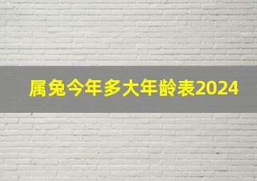 属兔今年多大年龄表2024