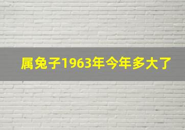 属兔子1963年今年多大了