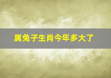 属兔子生肖今年多大了