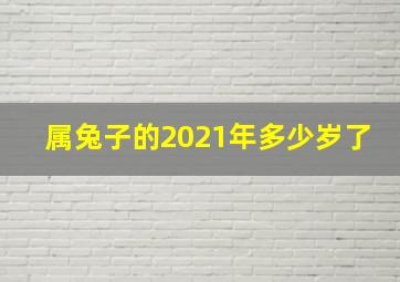 属兔子的2021年多少岁了