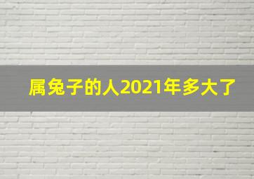 属兔子的人2021年多大了