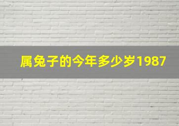 属兔子的今年多少岁1987