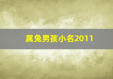 属兔男孩小名2011