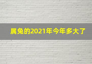 属兔的2021年今年多大了