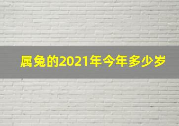 属兔的2021年今年多少岁