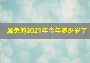 属兔的2021年今年多少岁了