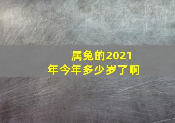 属兔的2021年今年多少岁了啊