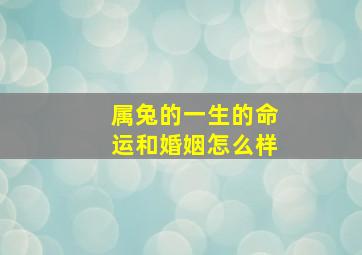 属兔的一生的命运和婚姻怎么样