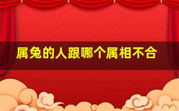 属兔的人跟哪个属相不合