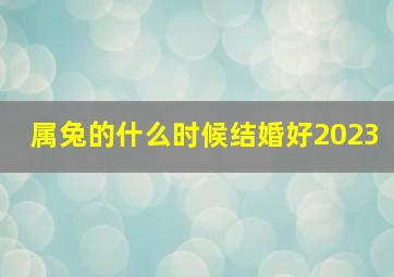 属兔的什么时候结婚好2023