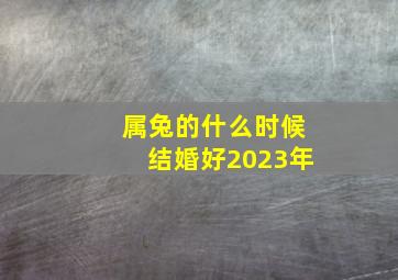 属兔的什么时候结婚好2023年