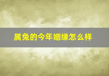 属兔的今年姻缘怎么样