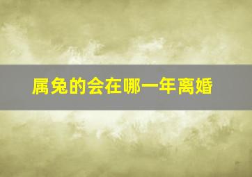 属兔的会在哪一年离婚