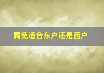 属兔适合东户还是西户