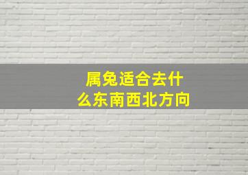 属兔适合去什么东南西北方向