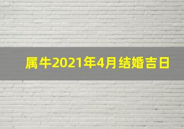 属牛2021年4月结婚吉日