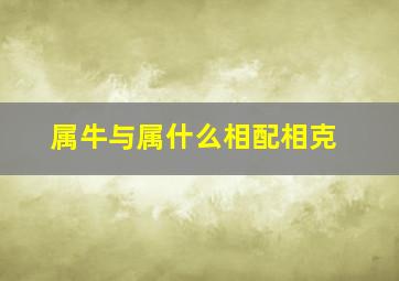 属牛与属什么相配相克