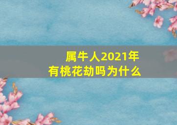 属牛人2021年有桃花劫吗为什么