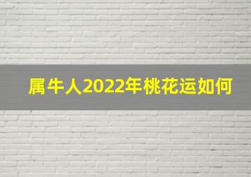 属牛人2022年桃花运如何