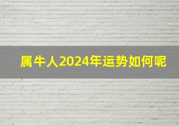 属牛人2024年运势如何呢