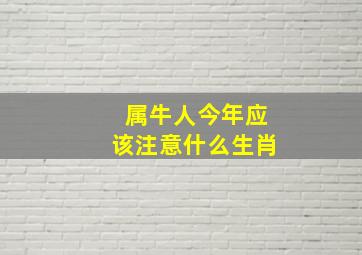 属牛人今年应该注意什么生肖