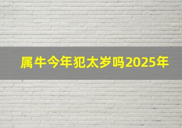 属牛今年犯太岁吗2025年