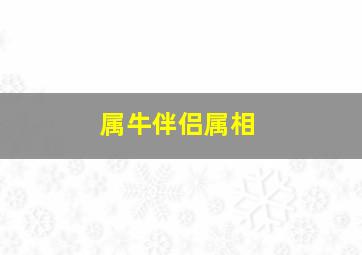 属牛伴侣属相