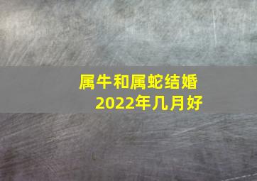 属牛和属蛇结婚2022年几月好