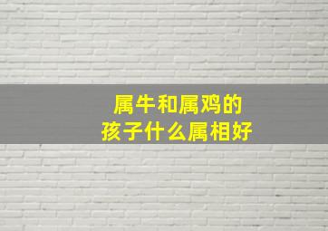 属牛和属鸡的孩子什么属相好