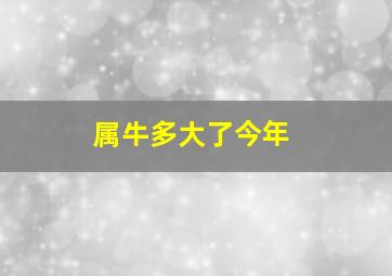 属牛多大了今年