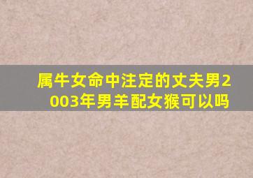 属牛女命中注定的丈夫男2003年男羊配女猴可以吗