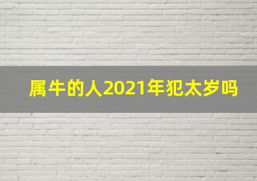 属牛的人2021年犯太岁吗